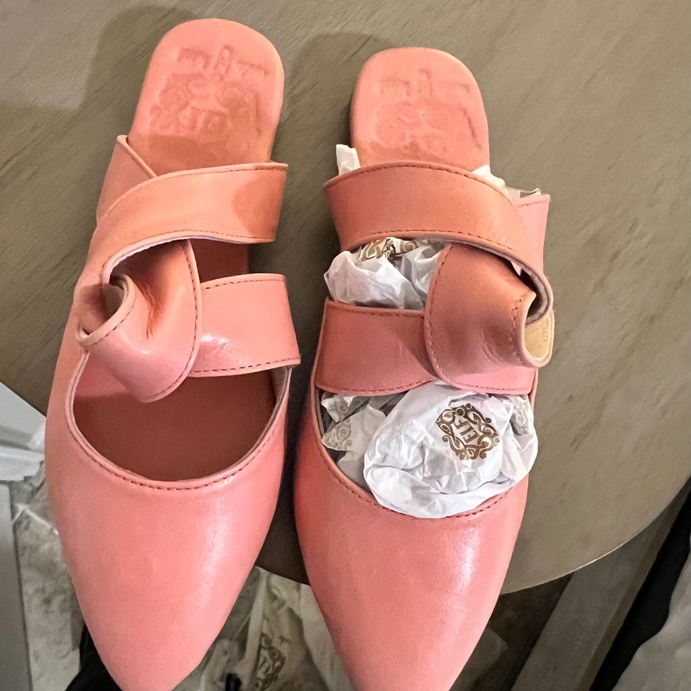 Taj Mahal Pointy Toe Mules